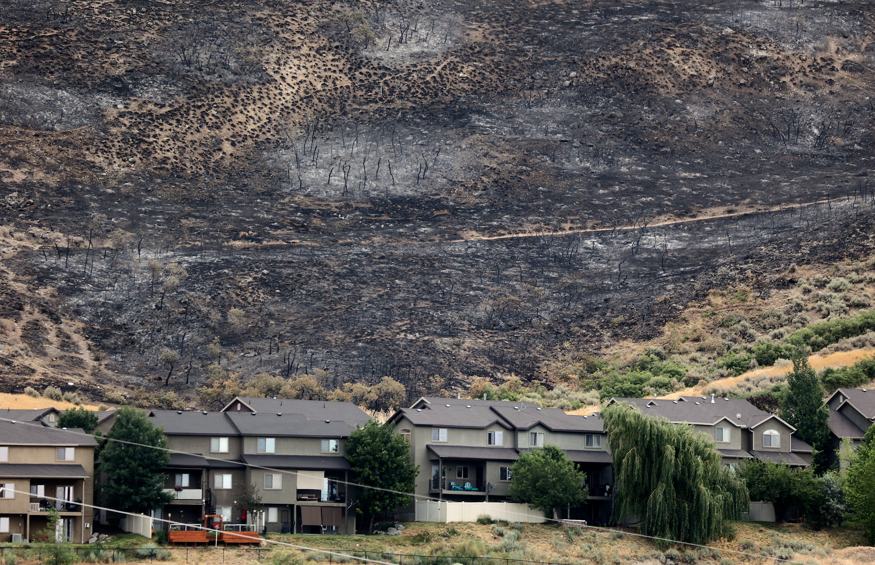 The burn scar of the Cedar Hills Fire on July 3. The Salt Lake City Fire Department says one spark from a firework can cause widespread destruction like this.