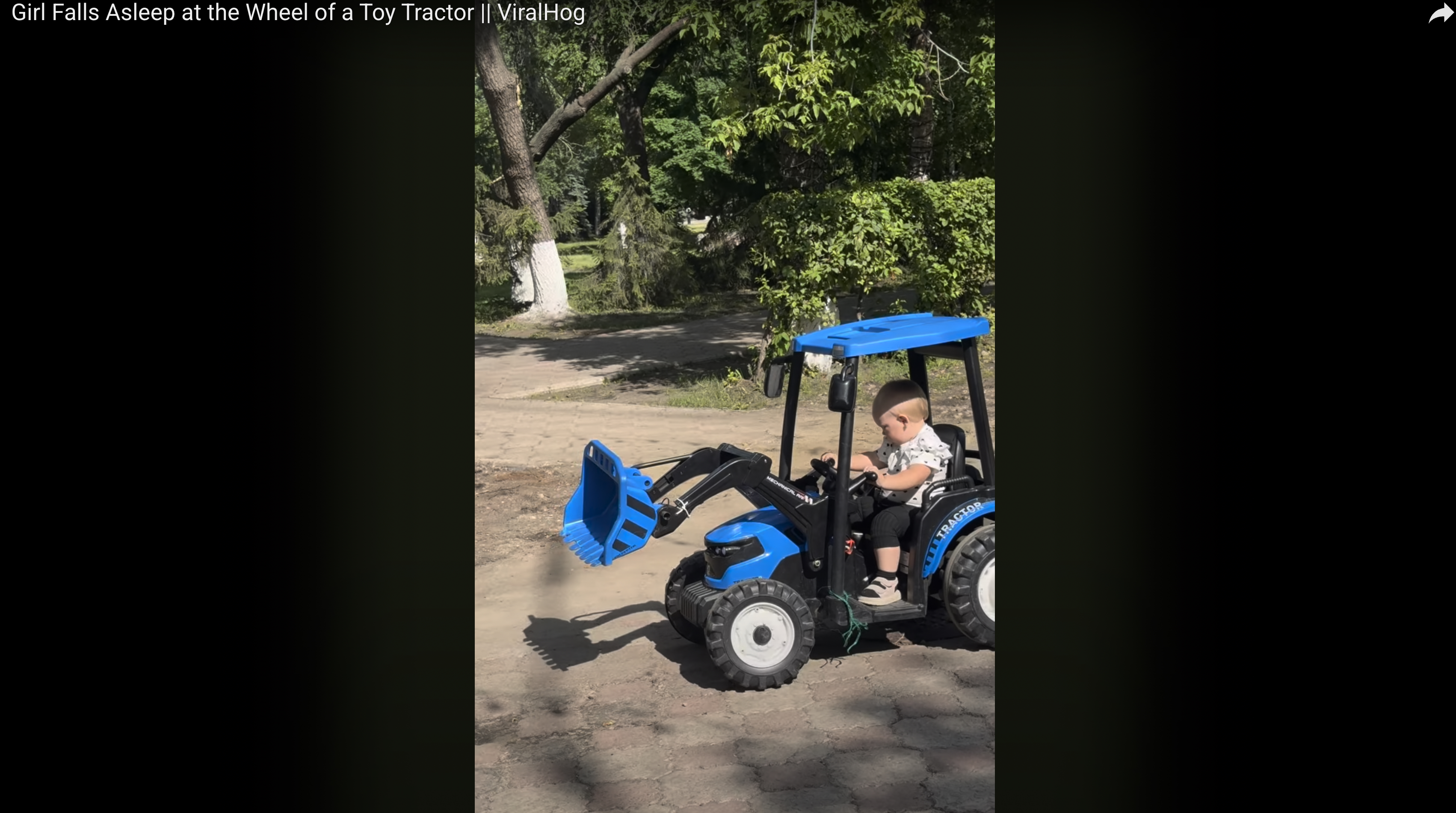 Have You Seen This? Maybe she shouldn't be operating heavy machinery