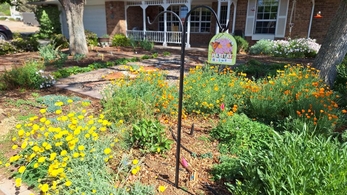 'Pretty with a purpose': How this Utahn transformed her yard into a pollinator paradise