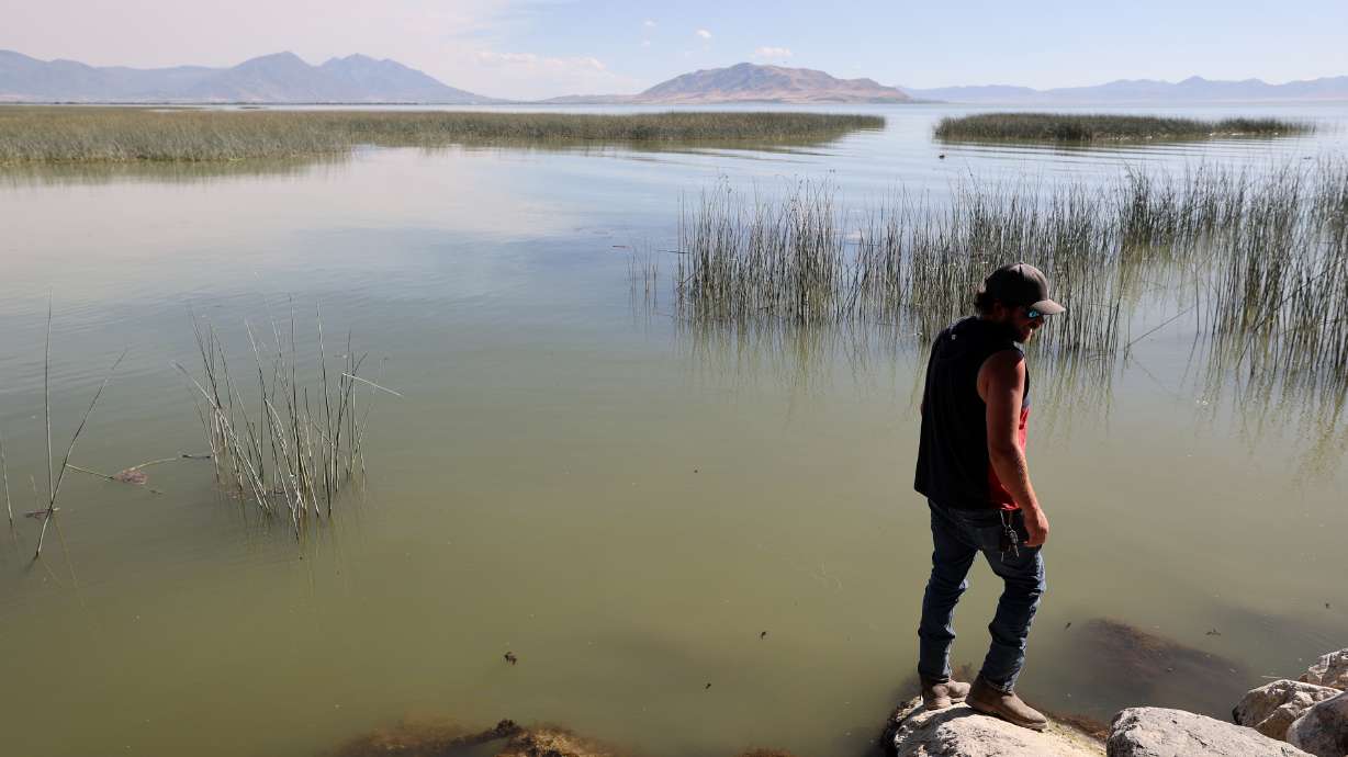 Brian Underwood walks along the water's edge at Utah Lake State Park in Provo on Monday. Utah Lake Authority is urging visitors to avoid the water because a harmful algal bloom is now impacting the whole lake.