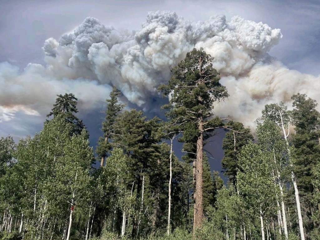A Dragon Bravo Fire plume is pictured by Grand Canyon National Park on Tuesday. The fire has now burned close to 100,000 acres since it began on July 4.
