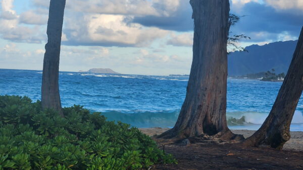 Utahns share experience in Hawaii amid tsunami event