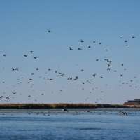 As water levels dwindle, Utah Legislature might address Great Salt Lake during a special session