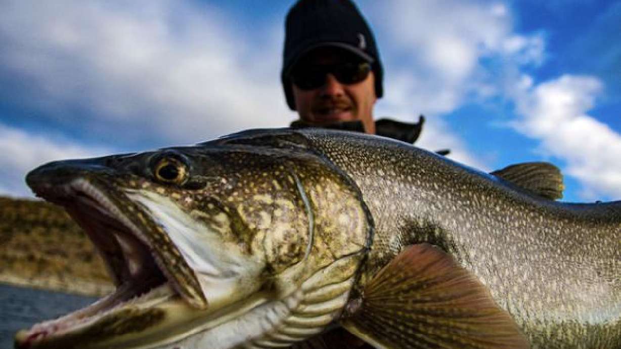 10 things to do in Flaming Gorge before winter