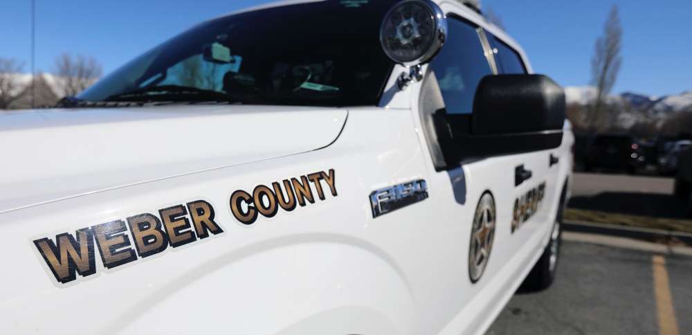 13-year-old 'not expected to survive' after being struck by falling tree at Pineview Reservoir