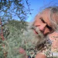 One Utah man's quest to track the bugs fighting invasive trees on the Colorado River