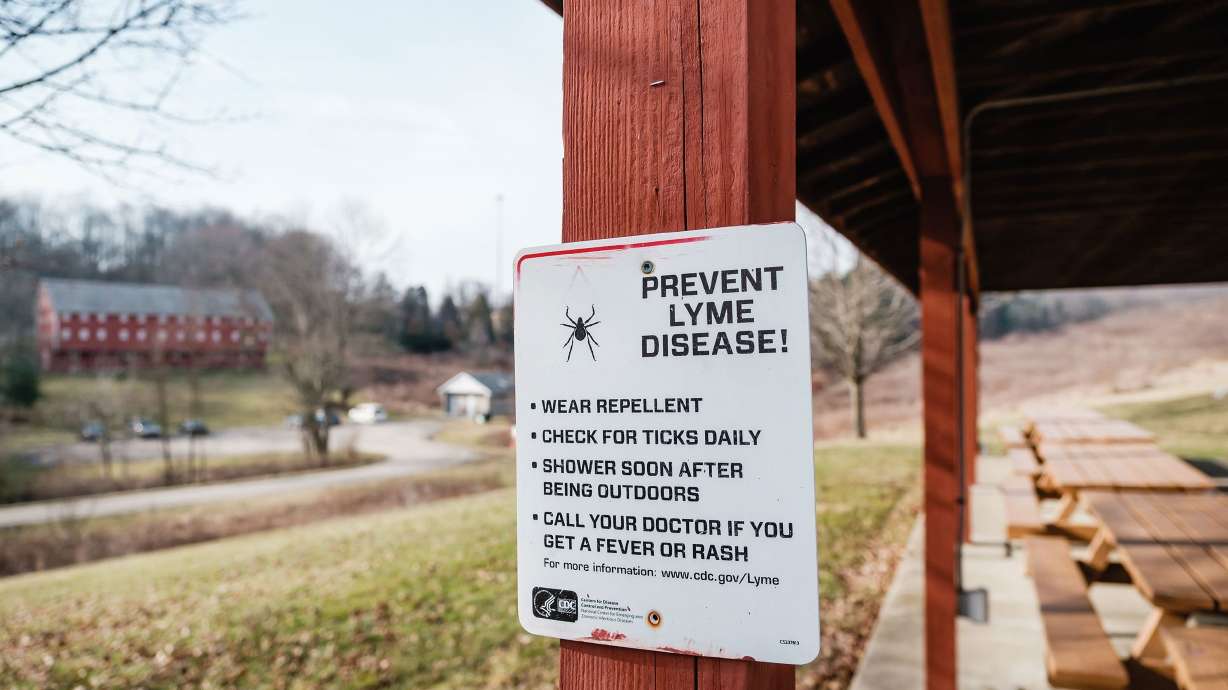 A warmer, humid world where ticks thrive is increasing spread of Lyme and other diseases - KSL.com