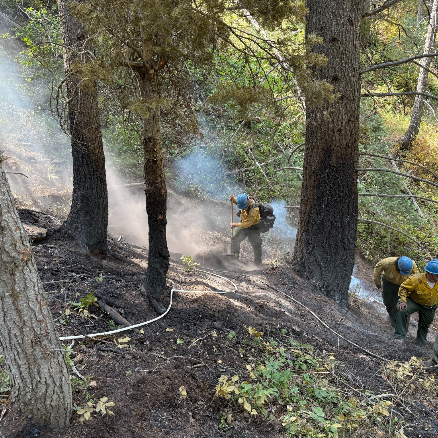 Small wildfire start near Tibble Fork Reservoir 100% contained, per Forest Service