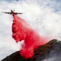 Massive central California wildfire keeps growing and becomes state's largest blaze of the year