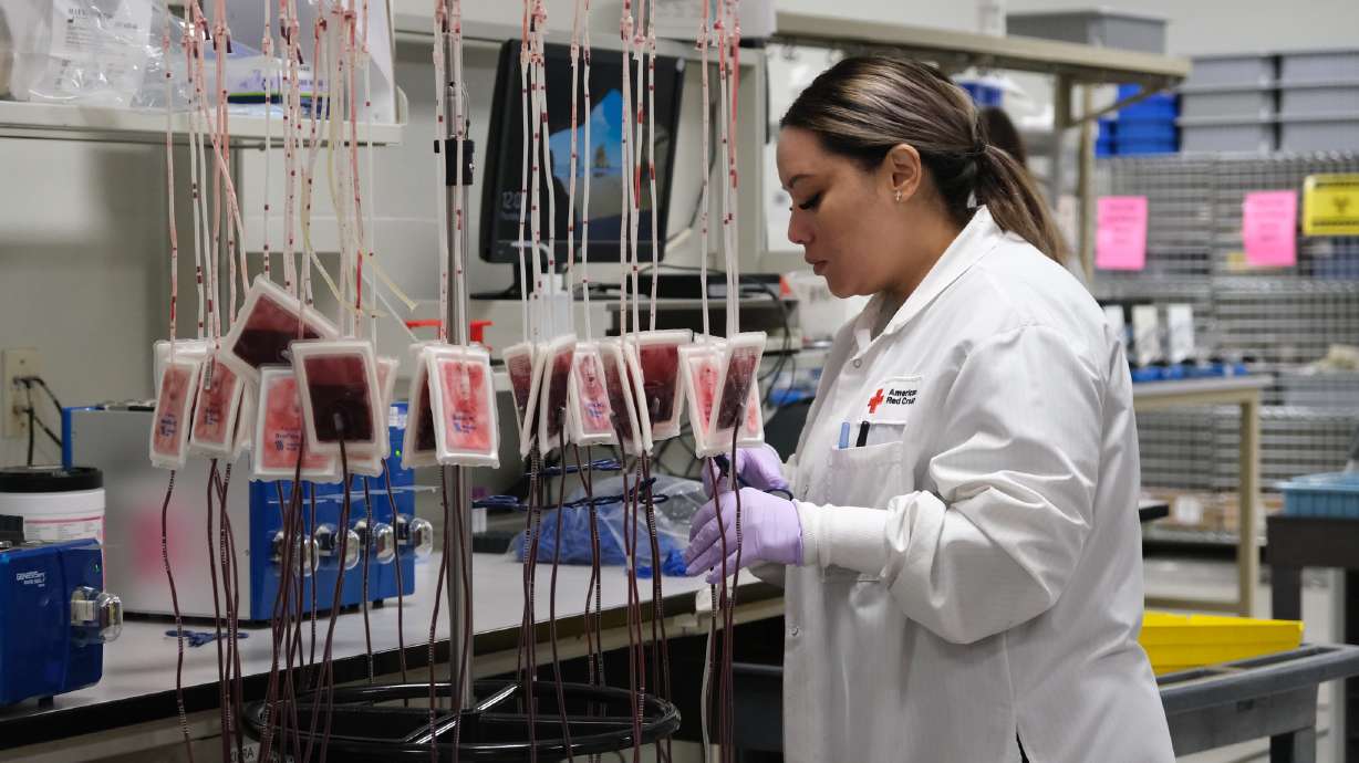 An American Red Cross lab staff member performs the leukoreduction process on collected blood at the Salt Lake Lab in Salt Lake City. The Church of Jesus Christ of Latter-day Saints is donating $5.1 million to the American Red Cross, the organizations announced on Thursday.
