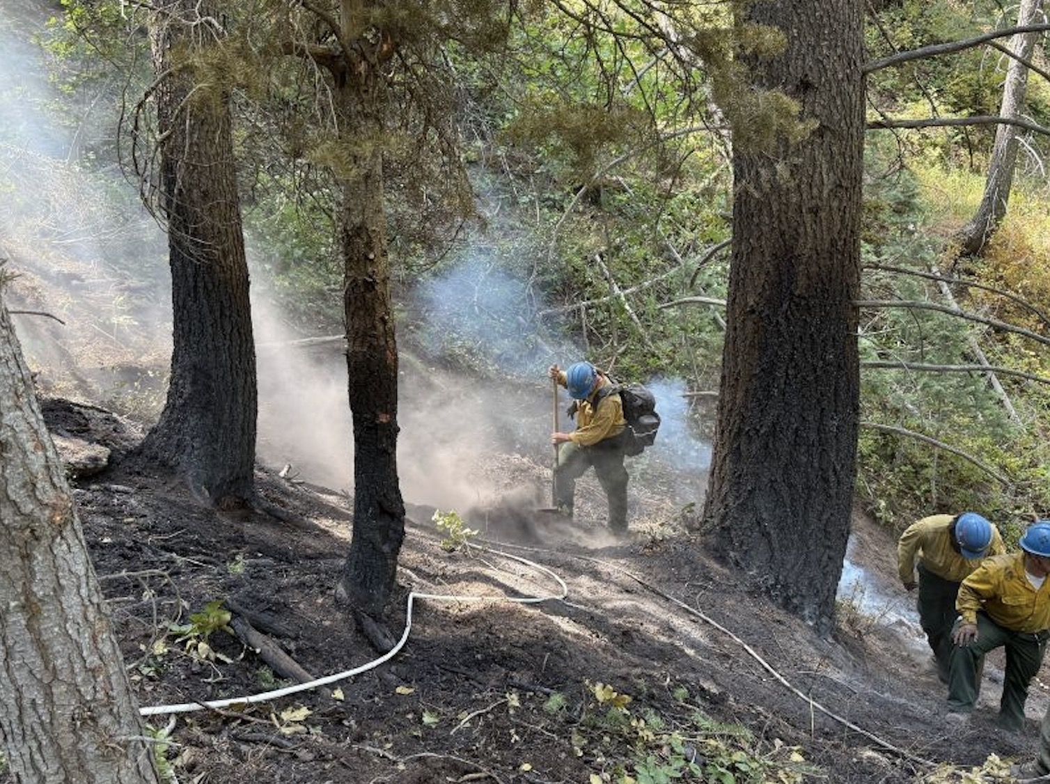New fire restrictions ordered for Uinta-Wasatch-Cache, Ashley national forests