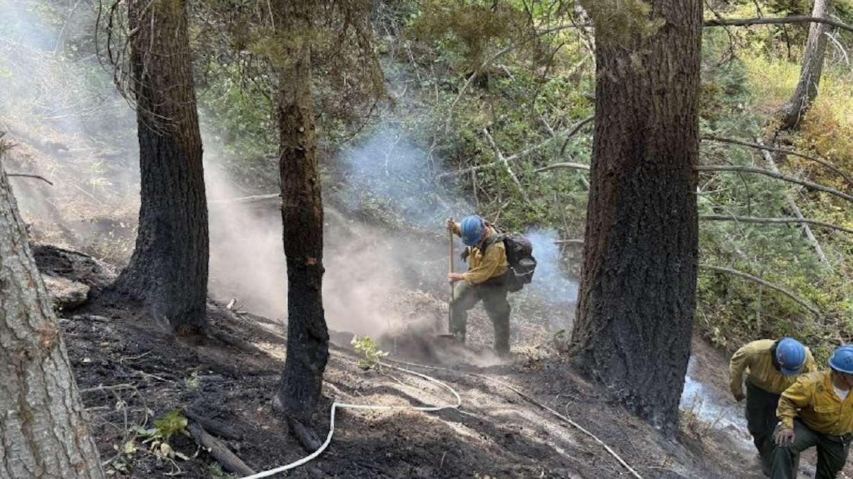 Crews work to contain a small wildfire start near Tibble Fork Reservoir in American Fork Canyon on Monday. Stage 1 fire restrictions will begin at Uinta-Wasatch-Cache and Ashley national forests on Friday.