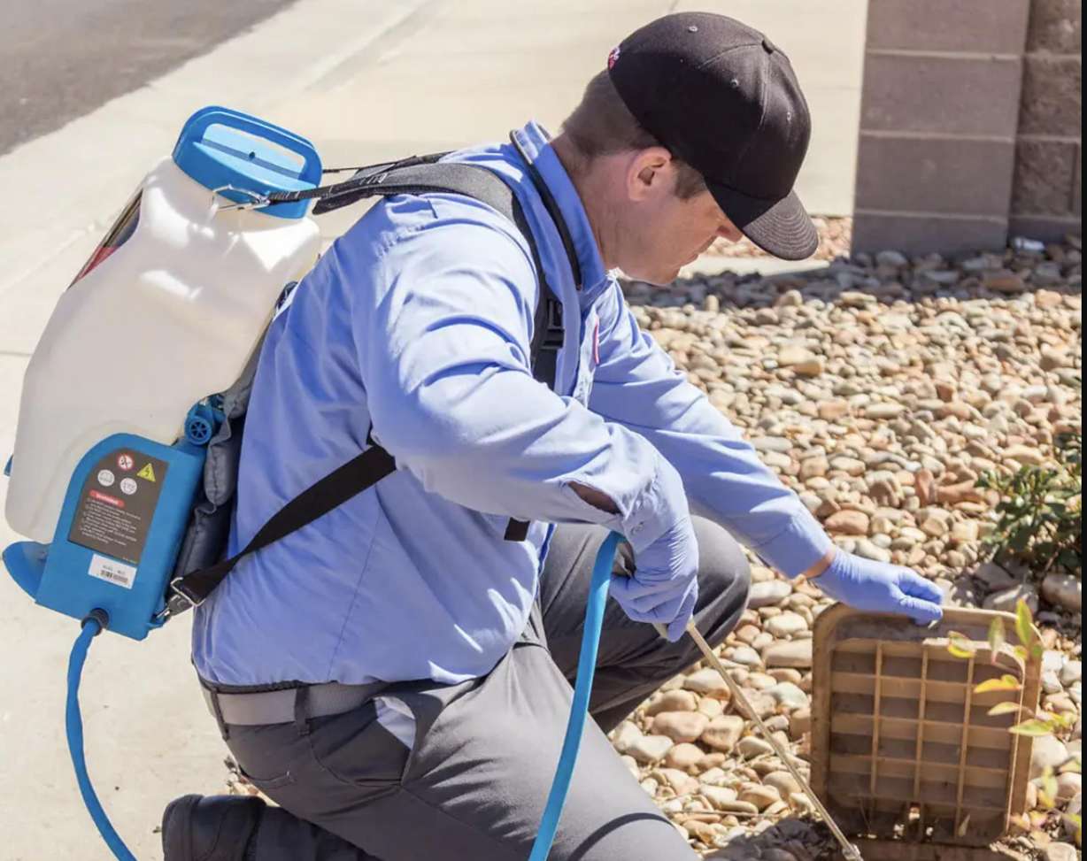 Rodent problems on the rise in Southern Utah