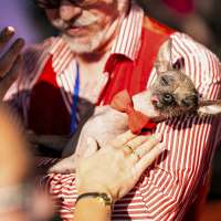 Photos of the World's Ugliest Dog Contest held in California