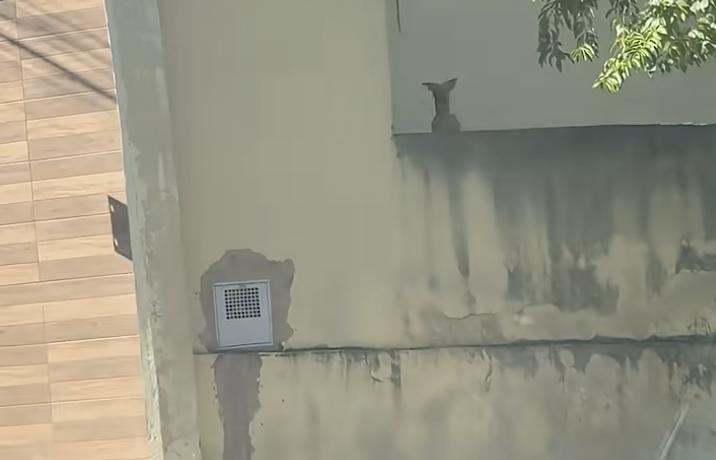 Kangaroo-mode is activated in this video.