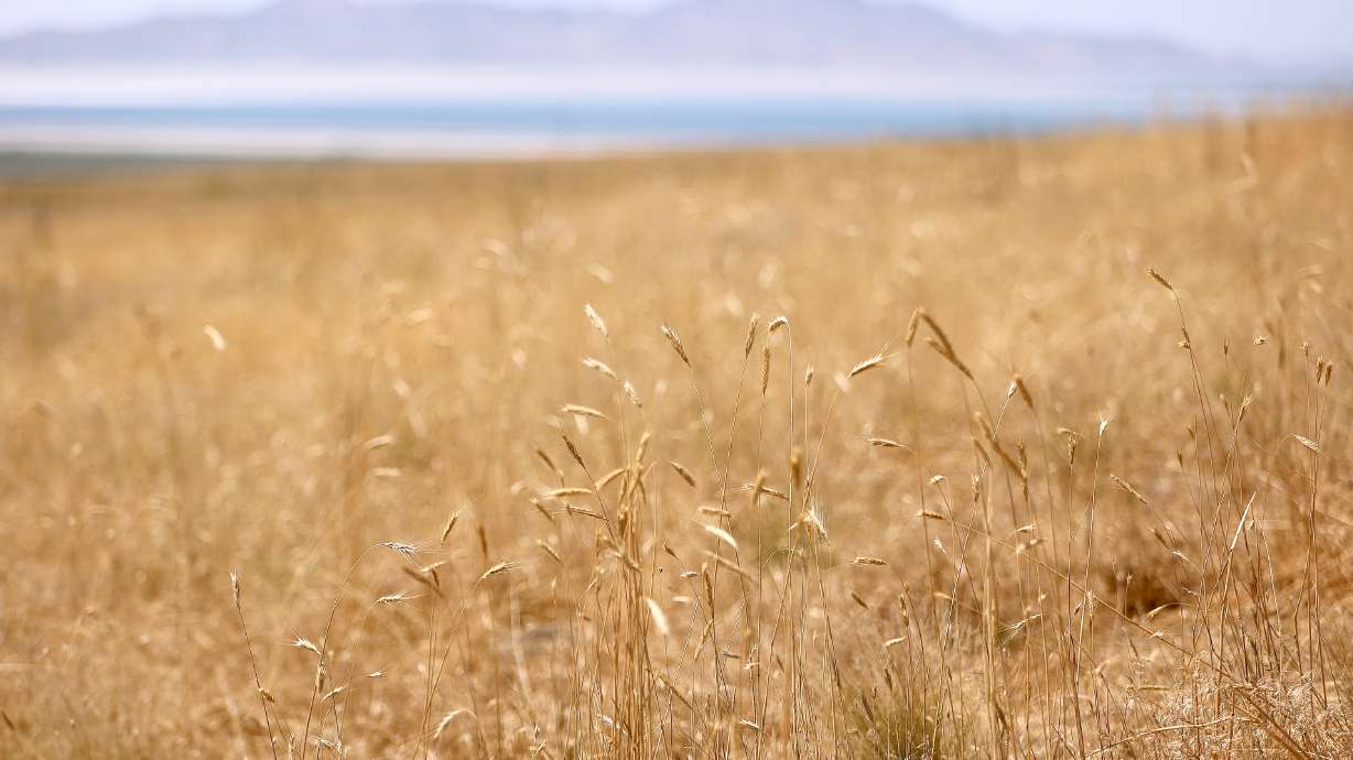 Dry Bureau of Land Management land is pictured in Tooele County on July 7. Last month was Utah's driest July in 125 years, according to data released on Friday. Monsoonal storms could bring some relief or new challenges later this week