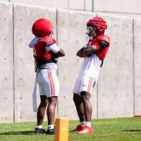 Is it a good or bad thing that Utah's top 2 running backs are 'interchangeable'