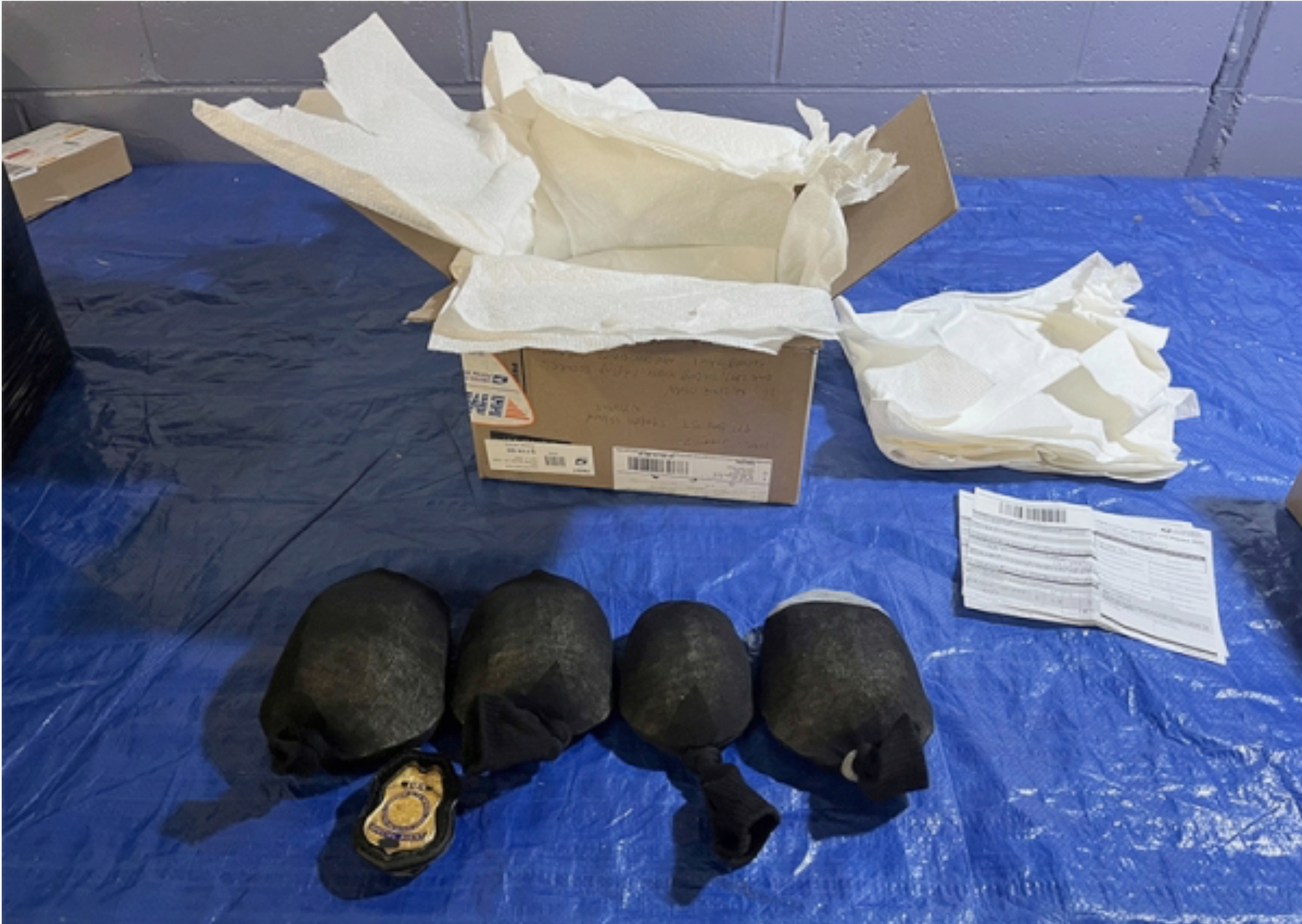 Intercepted eastern box turtles, Monday, in New York. A Brooklyn resident admitted trying to smuggle the protected turtles, worth more than $1 million, from the United States to Hong Kong in boxes labeled as "plastic animal toys."