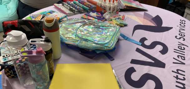 Domestic violence survivor organization needs donations