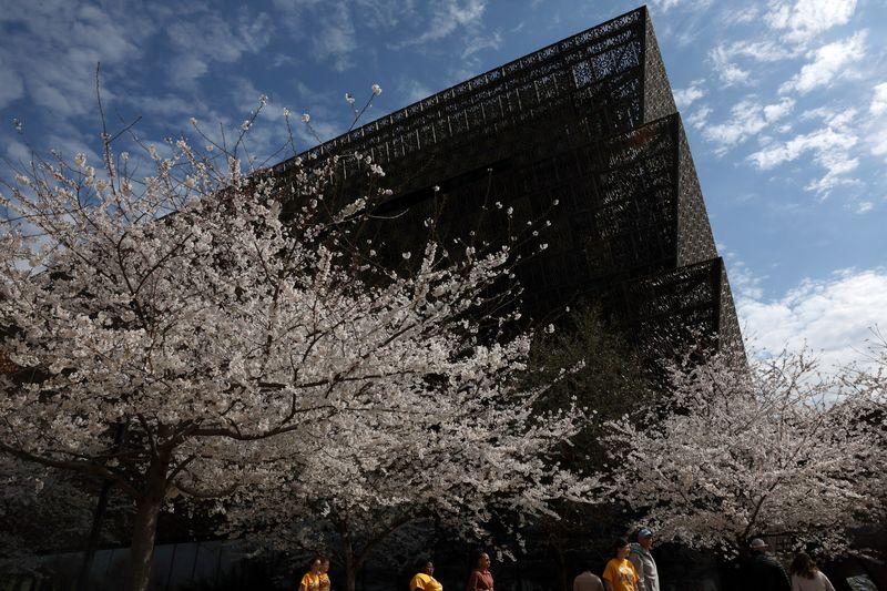 White House to lead review of some Smithsonian museums