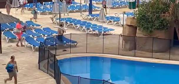 Have You Seen This? Behold, the battle of the pool chairs