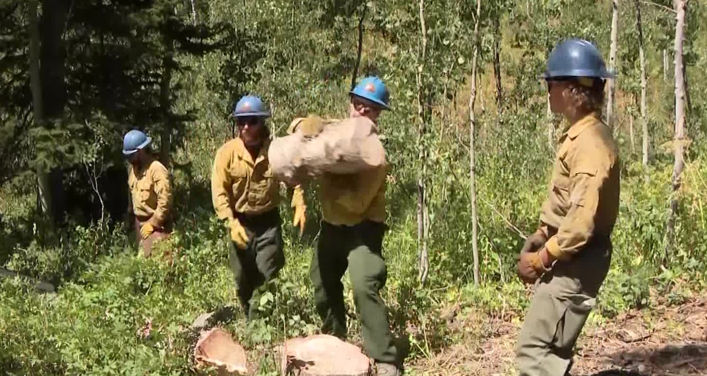 UFA's fire mitigation measures underway in Big Cottonwood Canyon