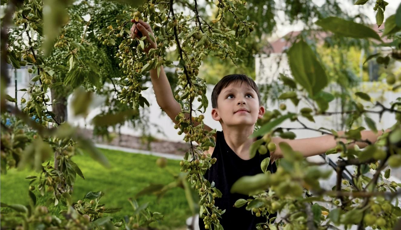 Meet Utah's 9-year-old plant whisperer
