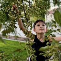 Meet Utah's 9-year-old plant whisperer