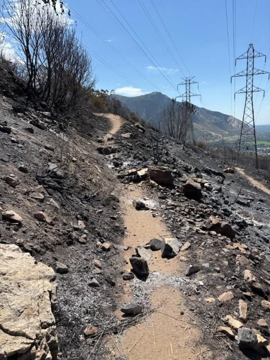 Willard Peak Fire containment increases to 56%; crews gain ground on other Utah fires