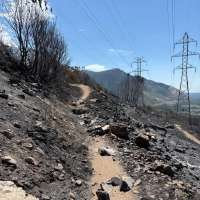 Willard Peak Fire containment increases to 56%; crews gain ground on other Utah fires