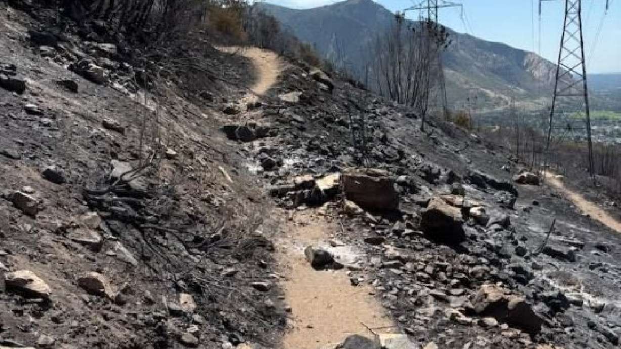 The charred remains of a trail scorched by the Willard Peak Fire, as pictured Saturday. Containment of the fire grew to 56%, according to Utah Fire Info.