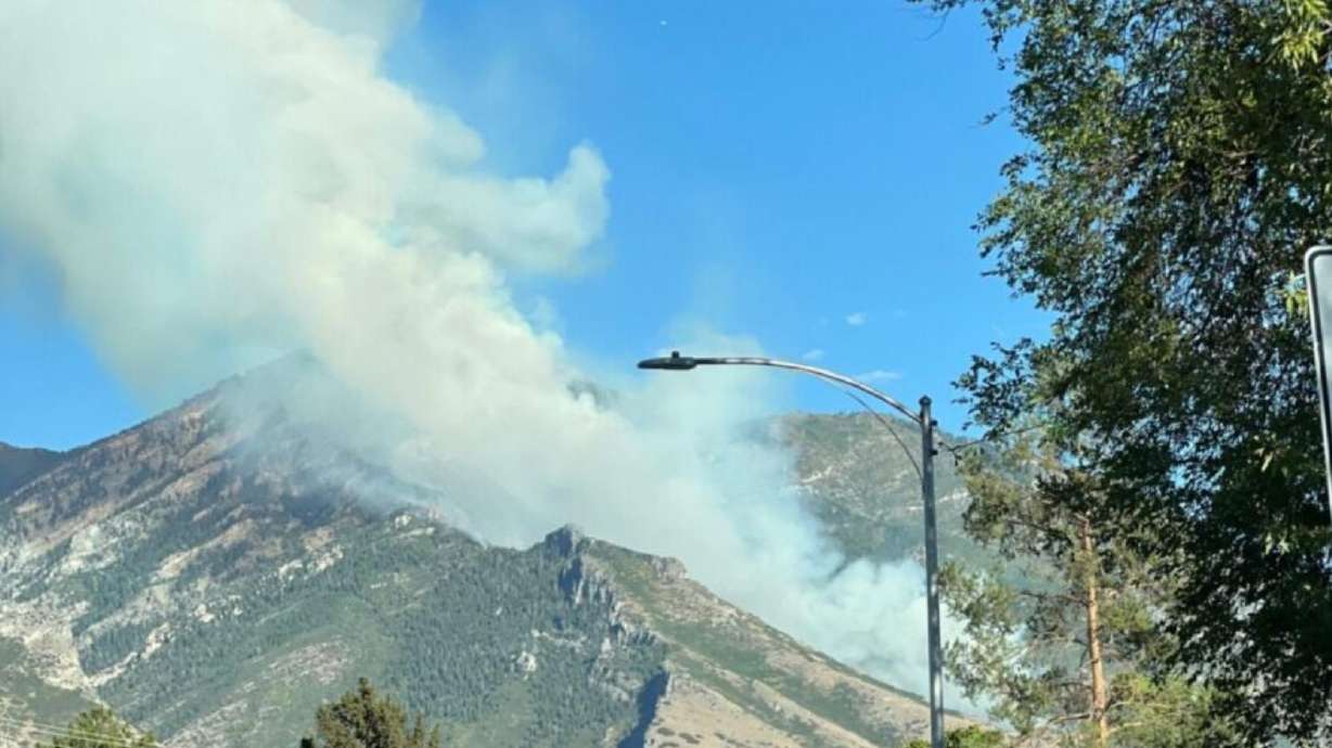 A wildfire broke out in Utah County's Buckley Draw Canyon on Sunday afternoon, its plume of white smoke clearly visible across the Utah Valley.