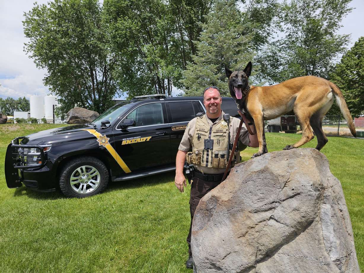Box Elder County sheriff's deputy Mike Allred and his K-9 Azula were both shot and injured Sunday, Aug. 17, 2025, while investigating a domestic violence call in Tremonton. Two other police officers were shot and killed.