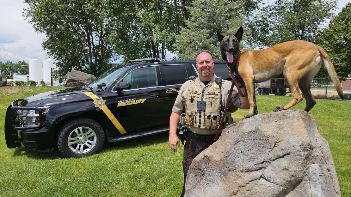 Box Elder County sheriff's deputy Mike Allred and his K-9 Azula were both shot and injured Sunday while investigating a domestic violence call in Tremonton. Two officers were shot and killed.