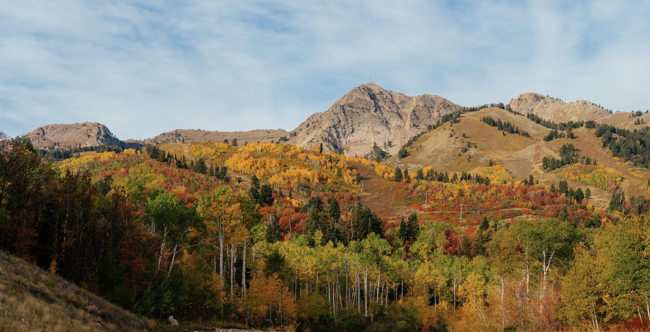 Northern Utah's largest dog-friendly Oktoberfest begins at Snowbasin's SnowWiesn