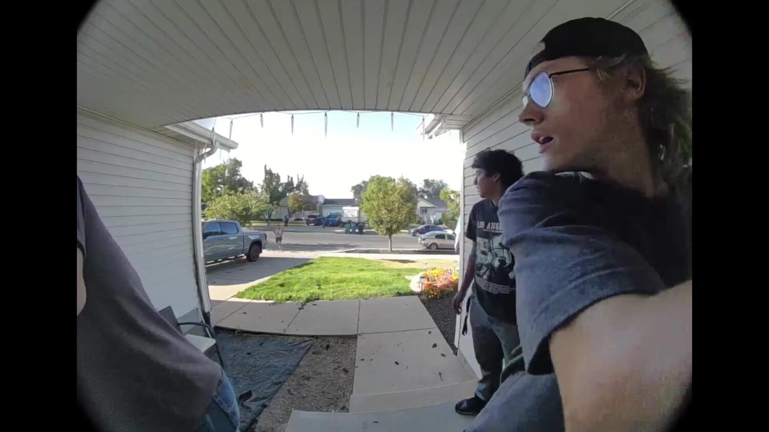 Teens rescue dogs from burning home in West Jordan