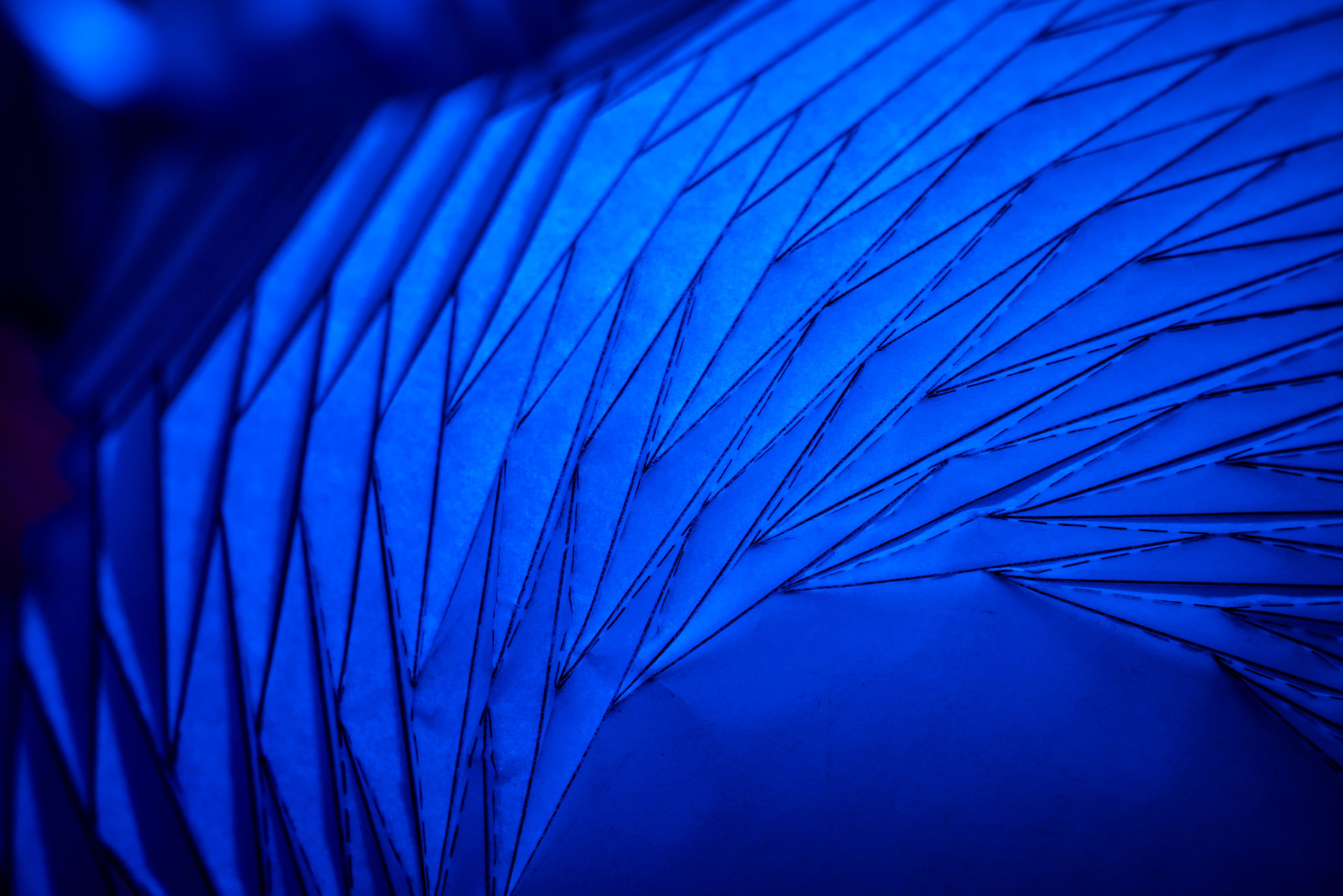 A new flower-bloom origami pattern that Brigham Young University student Kelvin (Zhongyuan) Wang discovered is displayed.