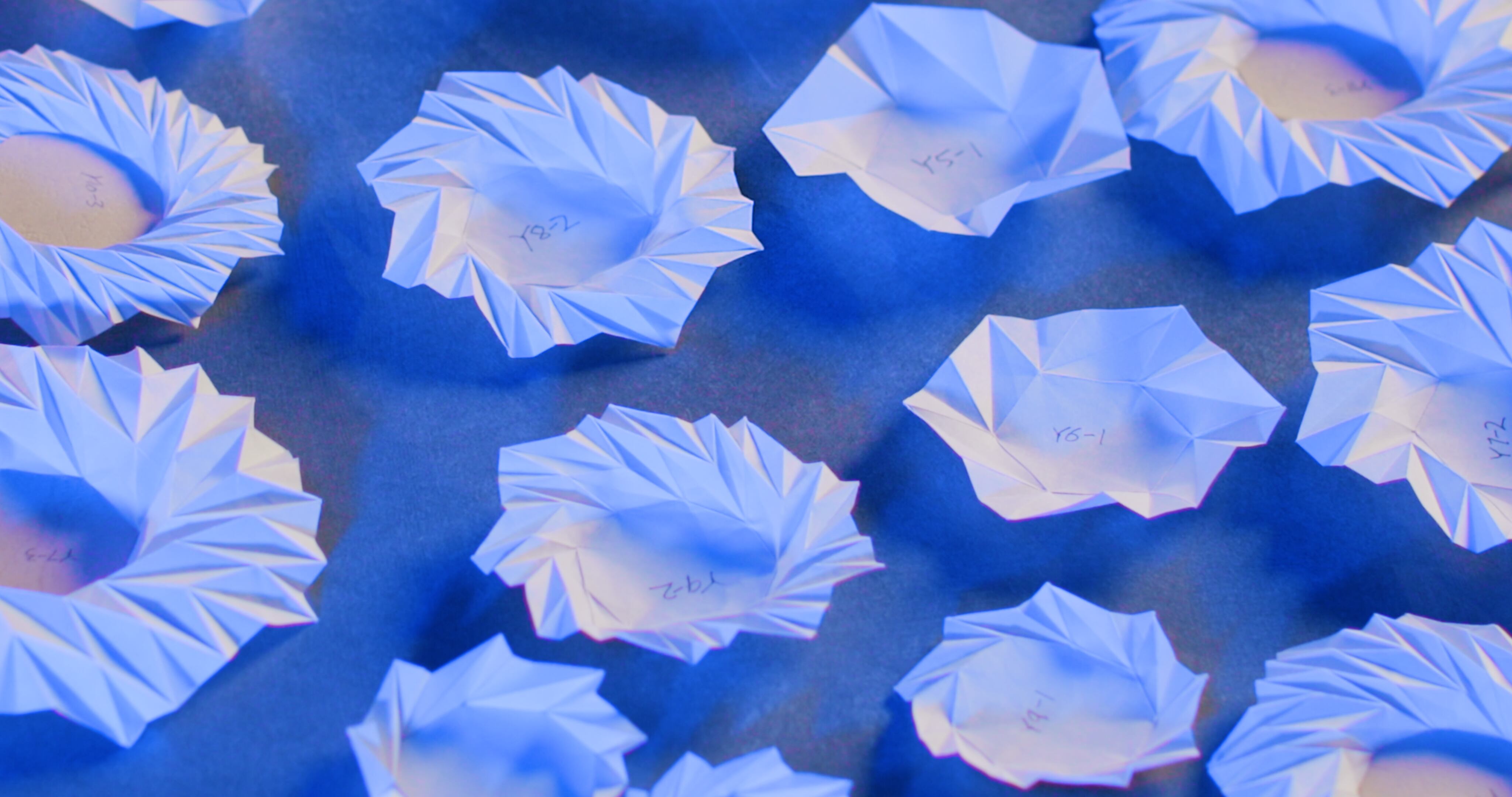 Iterations on a new flower-bloom origami pattern that Brigham Young University student Kelvin (Zhongyuan) Wang discovered are displayed.