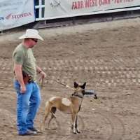 Box Elder County Fair attendees remember fallen Tremonton officers, pledge $260K to families