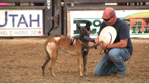 Surviving officer deputy Mike Allred and K-9 officer Azula enter the arena to a standing ovation Saturday. Amid the fun and festivities at the Golden Spikes Rodeo, the most powerful moment of the evening was a tribute to fallen officers.