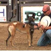 Fallen officers honored at Box Elder County rodeo