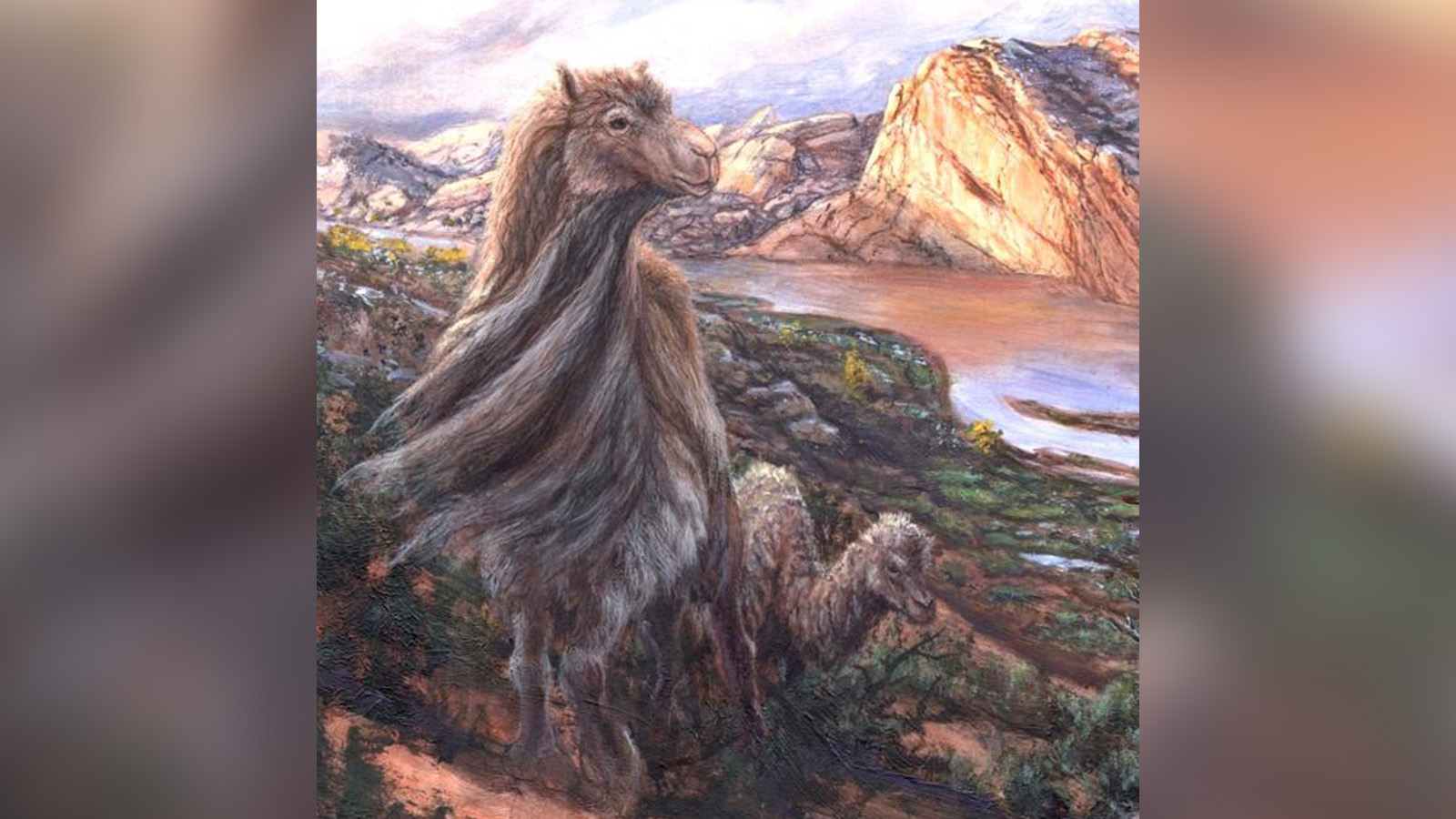 An artist's depiction of what a camelops hesternus would have looked like along the Green River near Split Mountain in modern-day Uintah County about 33,000 years ago.