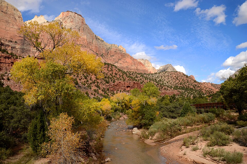 Top Features story anchor