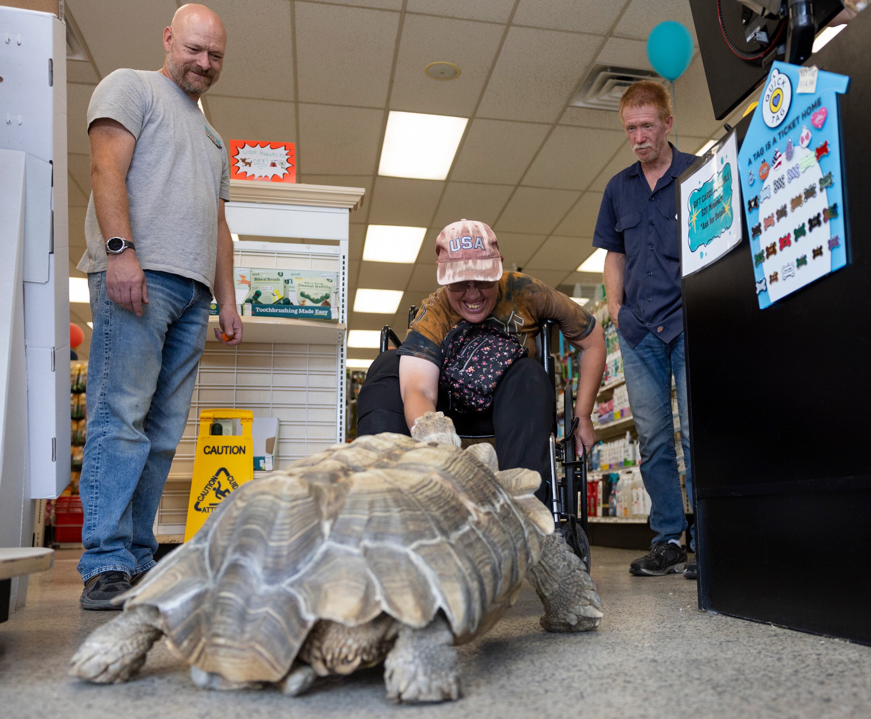 Tina Bettinson feeds Roadblock the tortoise at Rockstar Pets in Tooele on Monday. Roadblock celebrated his 25th birthday Wednesday.