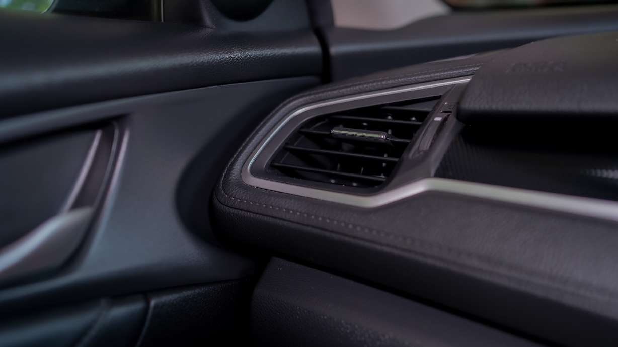 A police therapy dog in training died last week after it was left inside an off-duty North Salt Lake police officer's vehicle, the police chief confirmed.