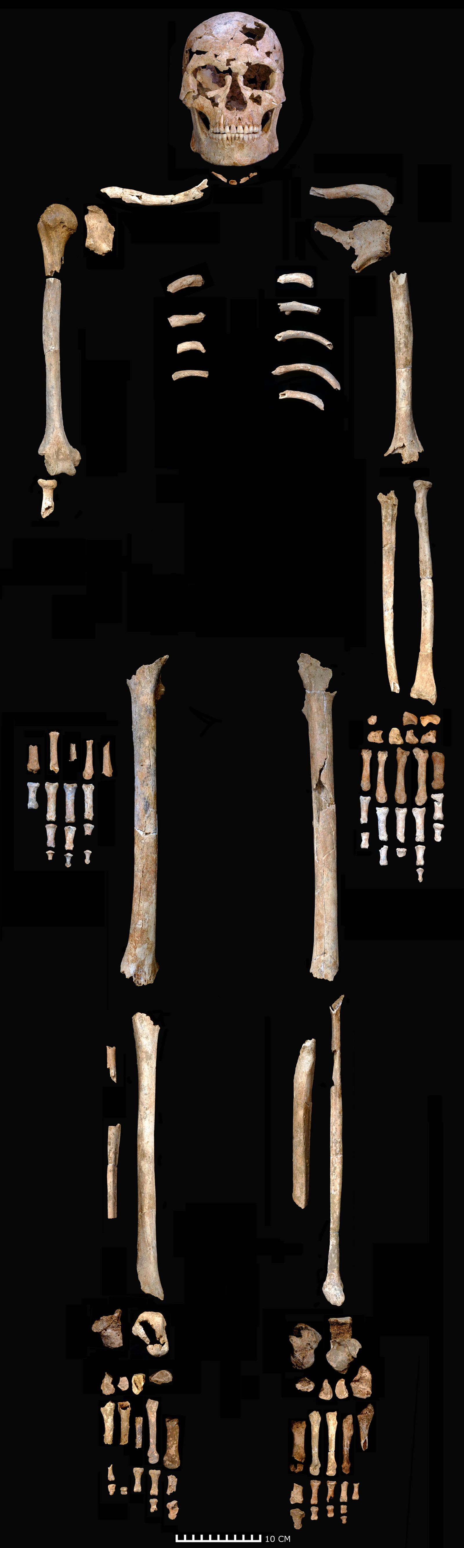 An unusual quartz-tipped tool killed a man 12,000 years ago. Then what happened?