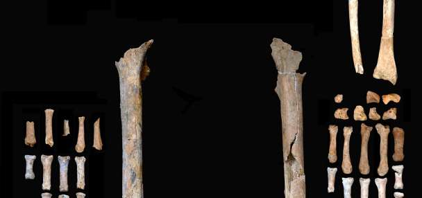 An unusual quartz-tipped tool killed a man 12,000 years ago. Then what happened?