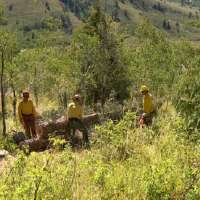 USDA seeks public feedback on roll back of 2001 'roadless rule'