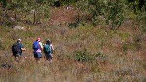 Hikers along the Naomi Peak Trail in Logan Canyon on Monday. Outdoor enthusiasts had mixed reactions to plans to rescind the 2001 Roadless Rule.