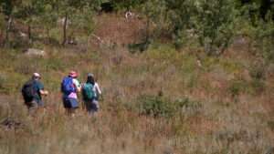 Hikers along the Naomi Peak Trail in Logan Canyon on Monday. Outdoor enthusiasts had mixed reactions to plans to rescind the 2001 Roadless Rule.